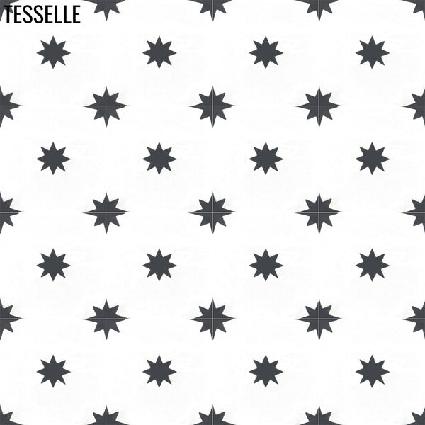 Galaxy Noir 8" Square Cement Tile 1
