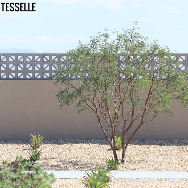 Traverse Grey Breeze Blocks Rancho Mirage