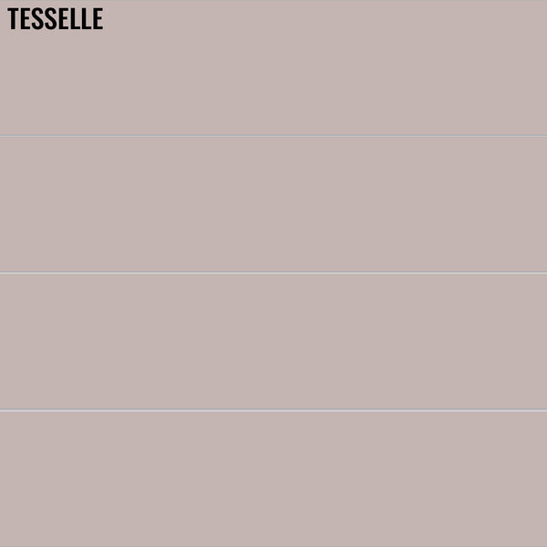 Rosa 8105 - 8x2" Rectangular Cement Subway Tile