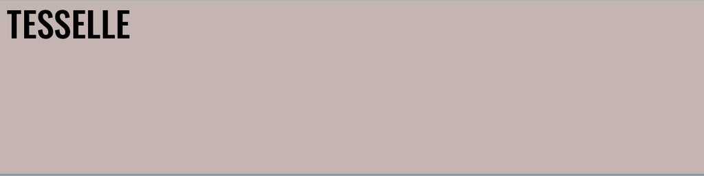 Rosa 8105 - 8x2" Rectangular Cement Subway Tile