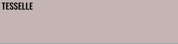 Rosa 8105 - 8x2" Rectangular Cement Subway Tile