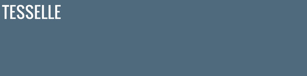 Ocean 8108 - 8x2" Rectangular Cement Subway Tile