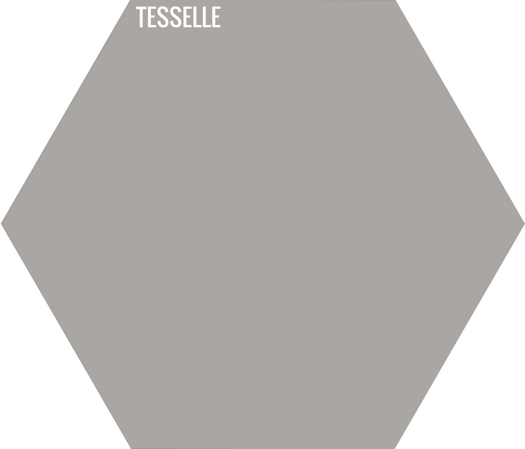 Ash 2001 - 9"x8" Hexagonal Cement Tile
