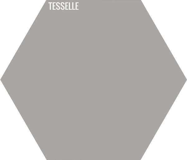 Ash 2001 - 9"x8" Hexagonal Cement Tile