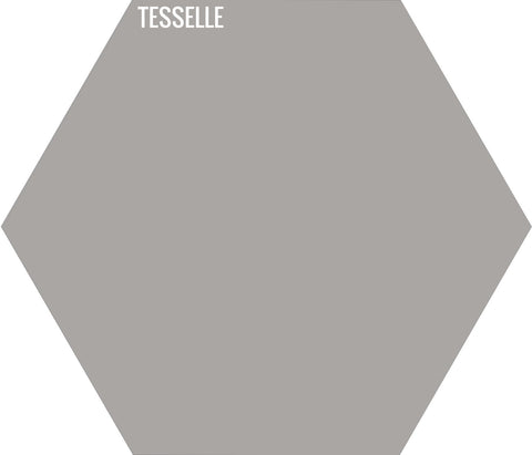 Ash 2001 - 9"x8" Hexagonal Cement Tile