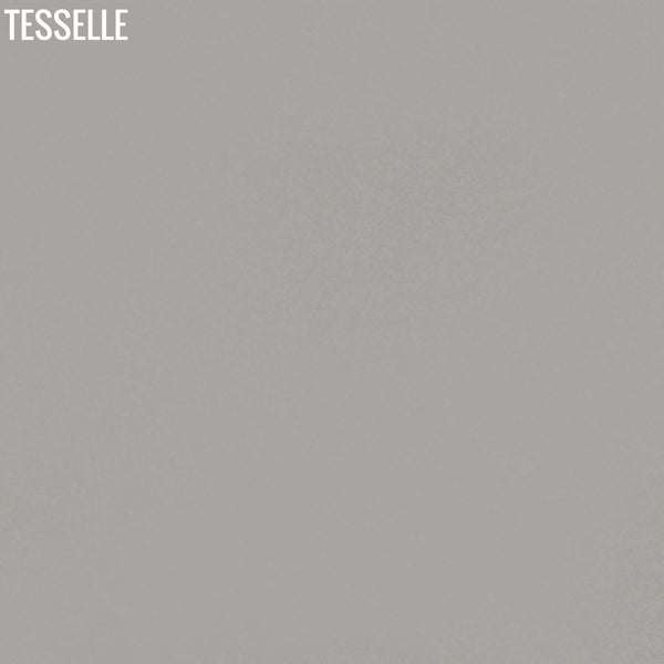 Ash 2001  - 8" Square Cement Tile