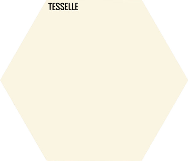Birch 1010 - 9"x8" Hexagonal Cement Tile