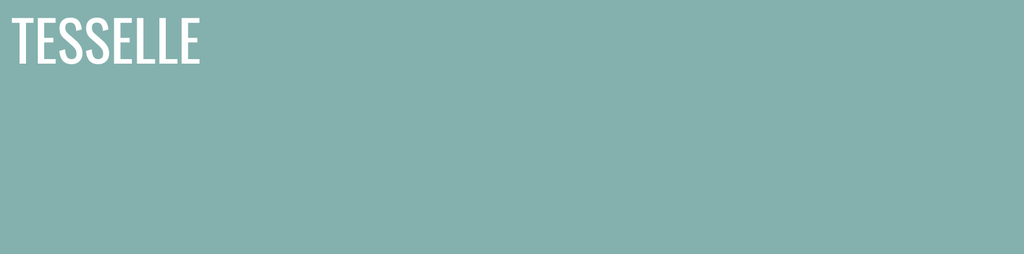 Cactus 8120 - 8x2" Rectangular Cement Subway Tile