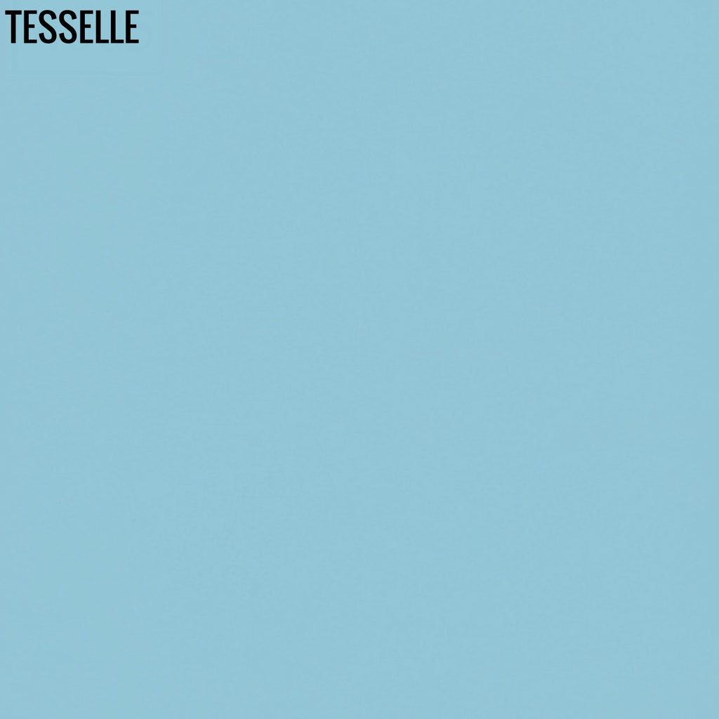 Caribbean 4005 - 8" Square Cement Tile