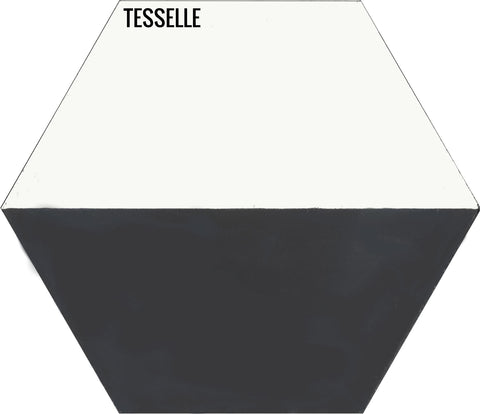 Casselli Ponte 8" Square Cement Tile