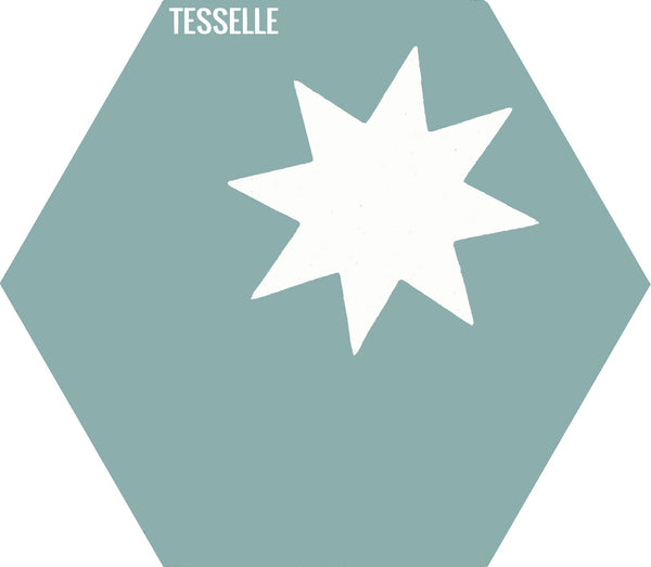 Cosmos Beta Cactus 9x8" Hexagonal Cement Tile