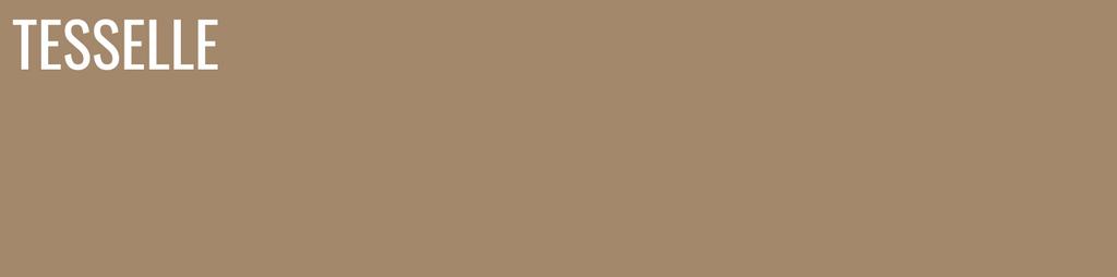 Driftwood 8122 - 8x2" Rectangular Cement Subway Tile
