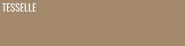 Driftwood 8122 - 8x2" Rectangular Cement Subway Tile