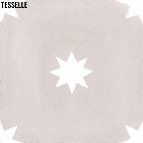 Galaxy Rosa 8" Square Cement Tile