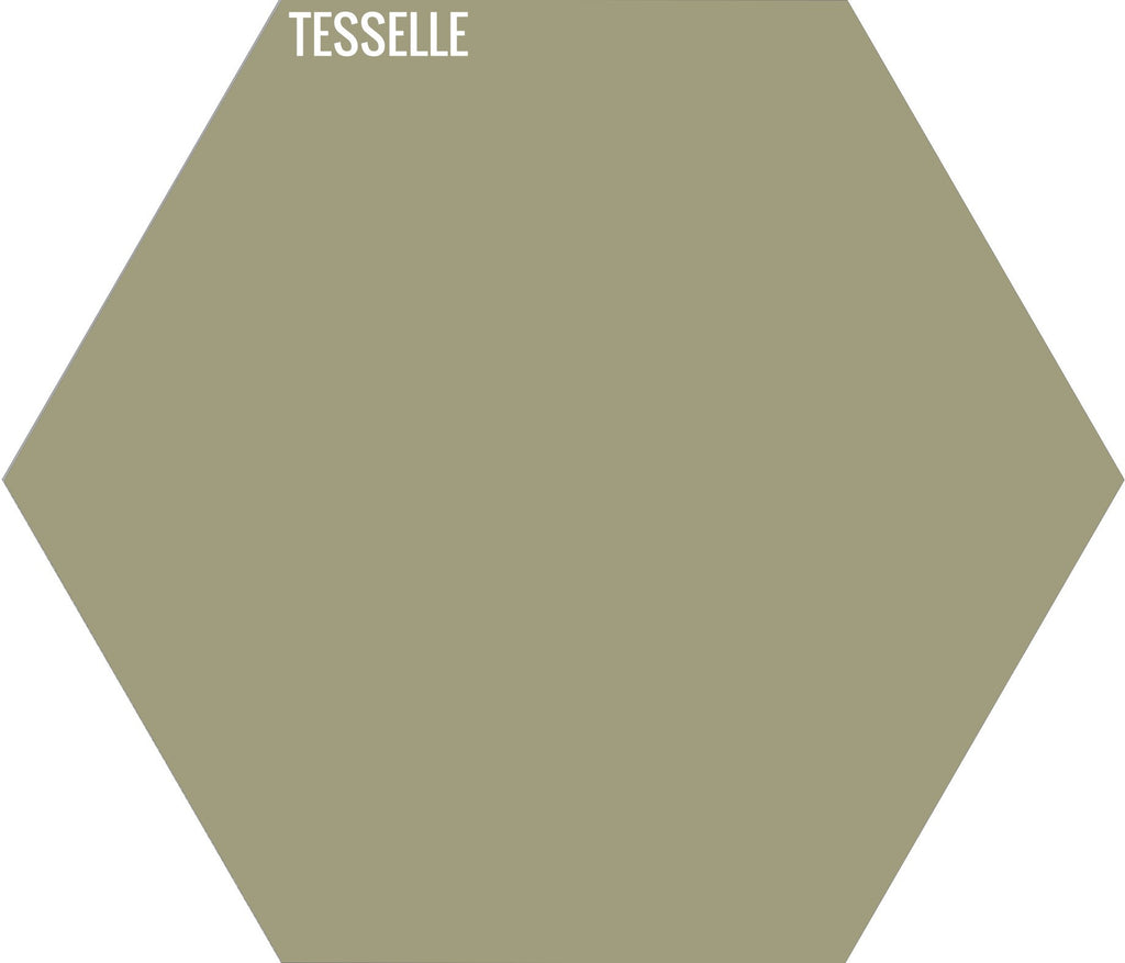 Fern 3032 - 9"x8" Hexagonal Cement Tile
