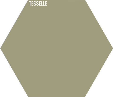 Fern 3032 - 9"x8" Hexagonal Cement Tile