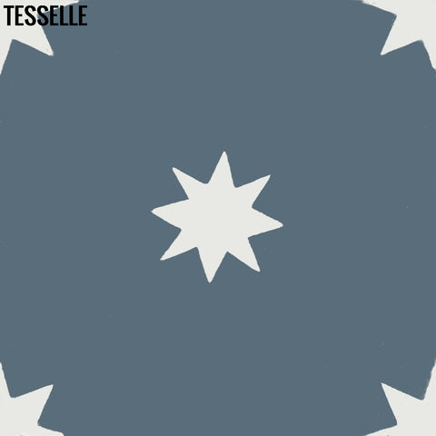 Galaxy Canis 8" Square Cement Tile