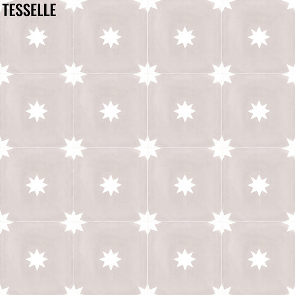 Galaxy Rosa 8" Square Cement Tile 1