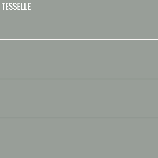 Tarragon 8114 - 8x2" Rectangular Cement Subway Tile Repeat