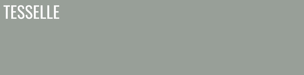 Tarragon 8114 - 8x2" Rectangular Cement Subway Tile