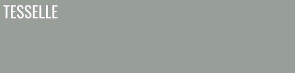 Tarragon 8114 - 8x2" Rectangular Cement Subway Tile
