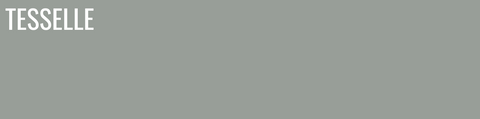 Tarragon 8114 - 8x2" Rectangular Cement Subway Tile
