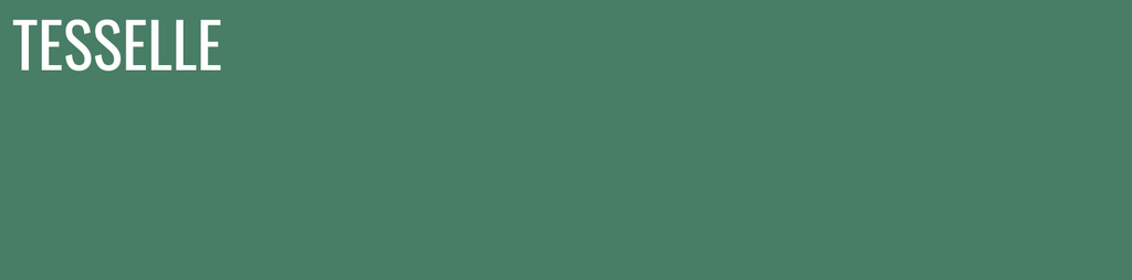 Jade 8910 - 8x2" Rectangular Cement Subway Tile