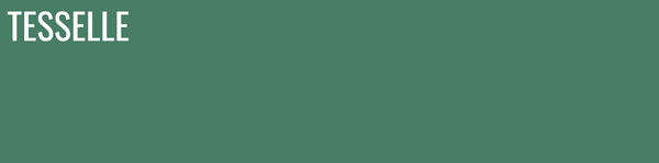 Jade 8910 - 8x2" Rectangular Cement Subway Tile