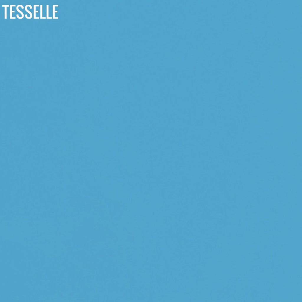 Lake 4007 - 8" Square Cement Tile Solid Color