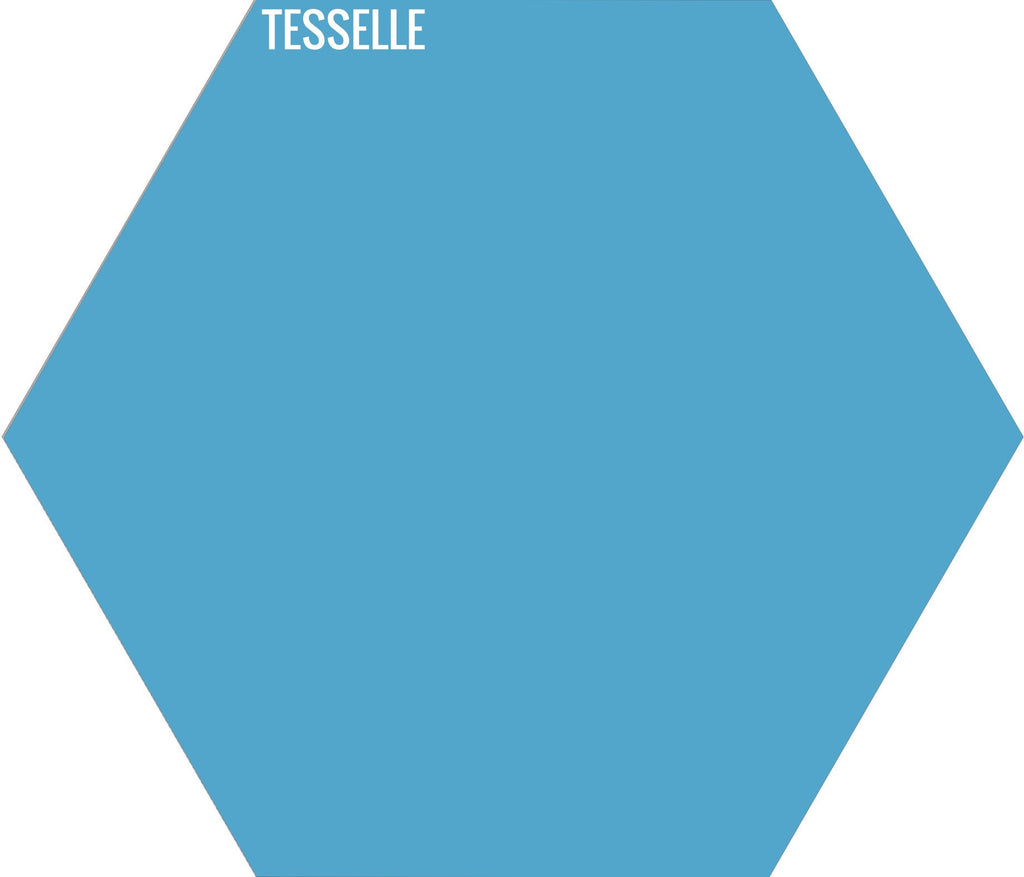 Lake 4007 - 9"x8" Hexagonal Cement Tile