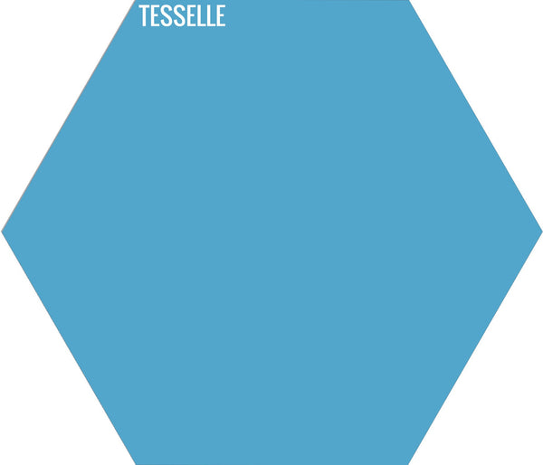 Lake 4007 - 9"x8" Hexagonal Cement Tile