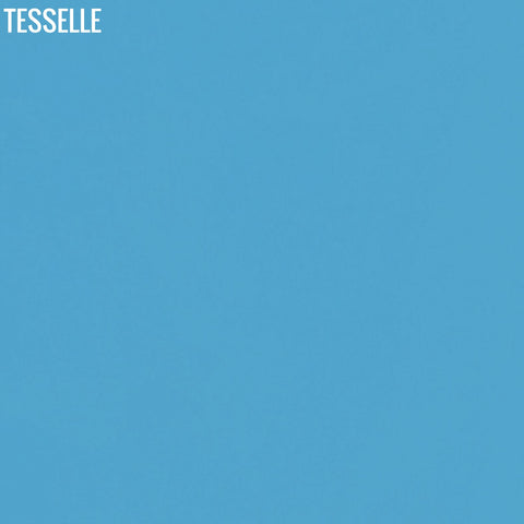 Lake 4007 - 8" Square Cement Tile Solid Color