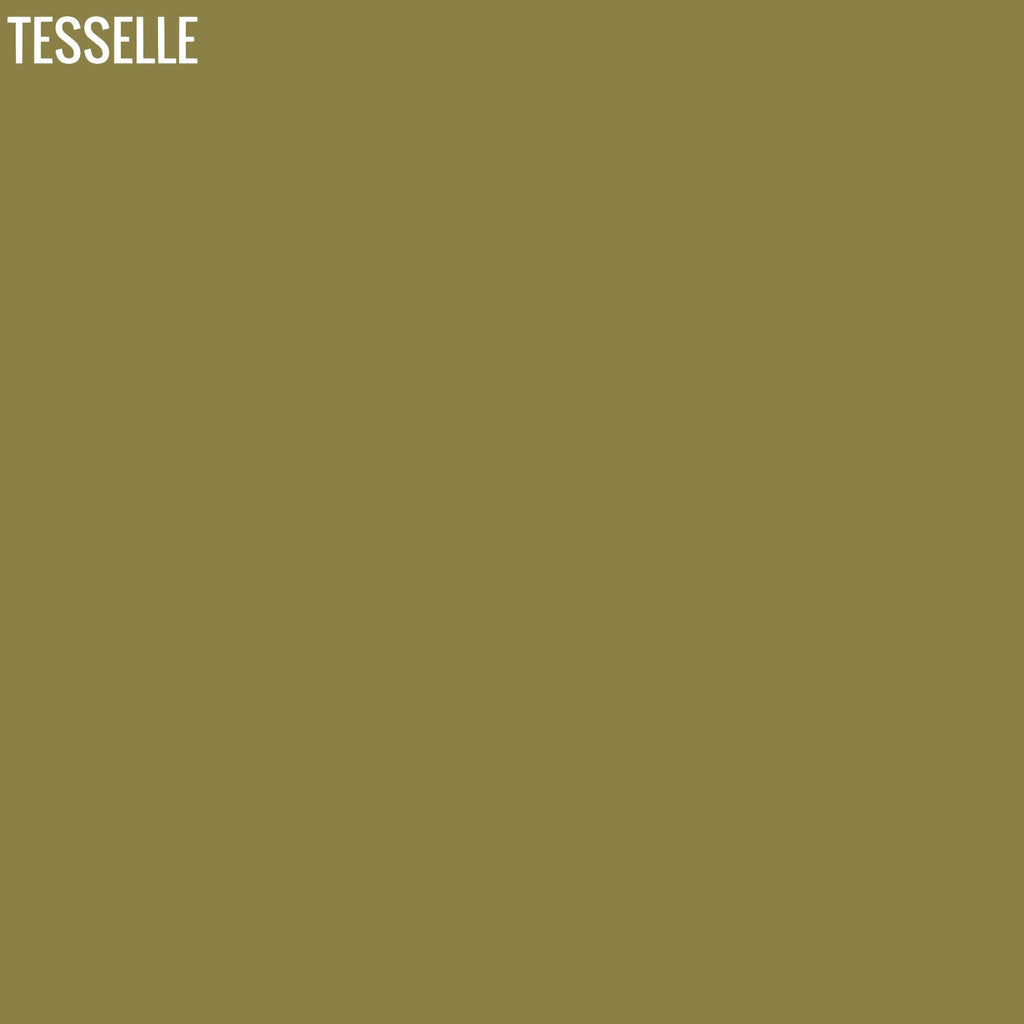 Leaf 3003 - 8" Square Cement Tile