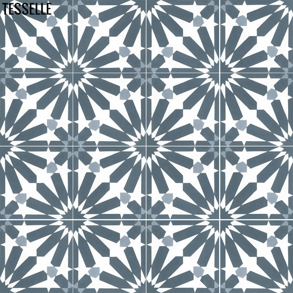 Lucia Agean 8" Square Cement Tile 1