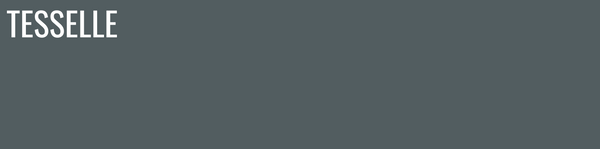 Mercury 8402 - 8x2" Rectangular Cement Subway Tile