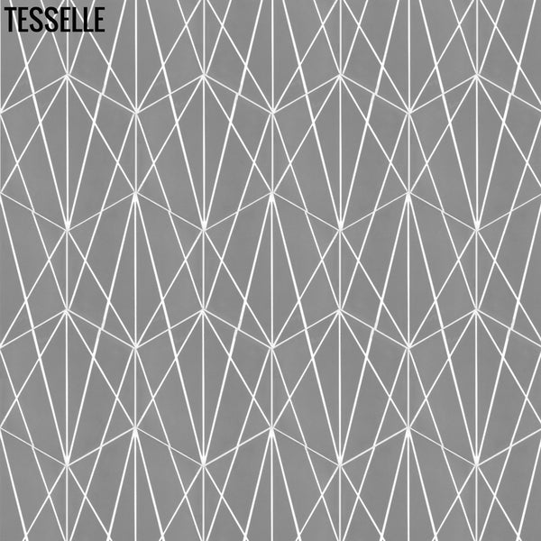 Network Dyna 9"x8" Hexagonal Cement Tile1