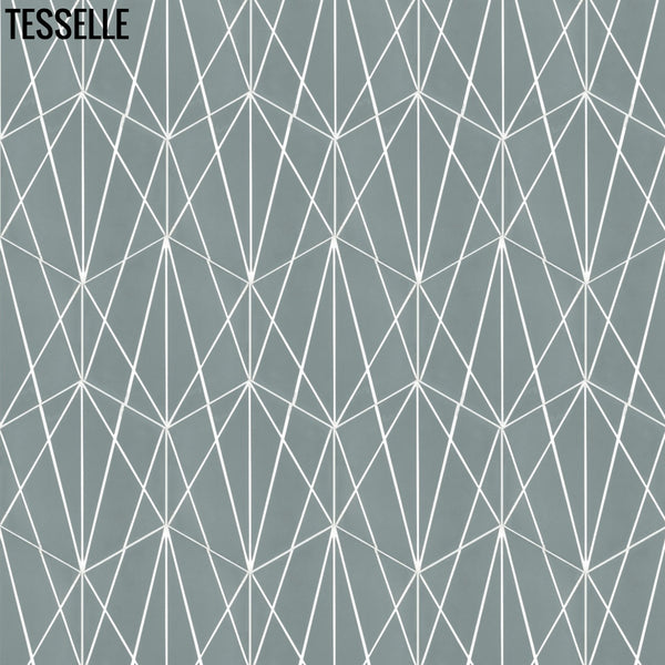 Network Sophis 9"x8" Hexagonal Cement Tile1