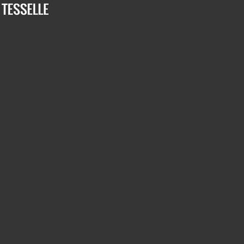 Onyx 2000 - 8" Square Cement Tile