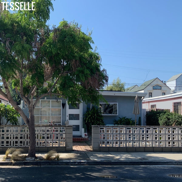 Tesselle Particia Breeze Block Wall