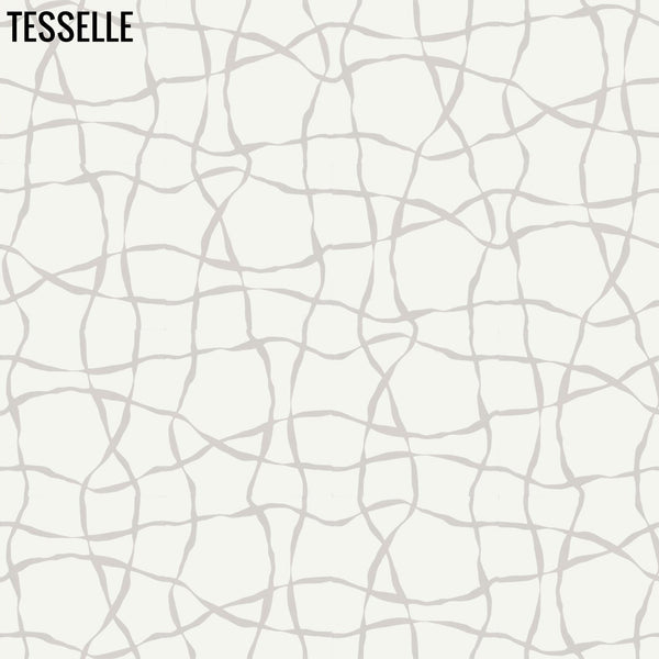 Raffia Corrina Cement Tile Additional Layout
