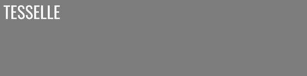 Semillon 8324 - 8x2" Rectangular Cement Subway Tile