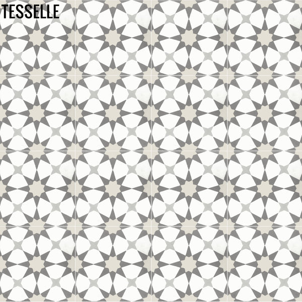 Starre Aquila 8" Square Cement Tile 1