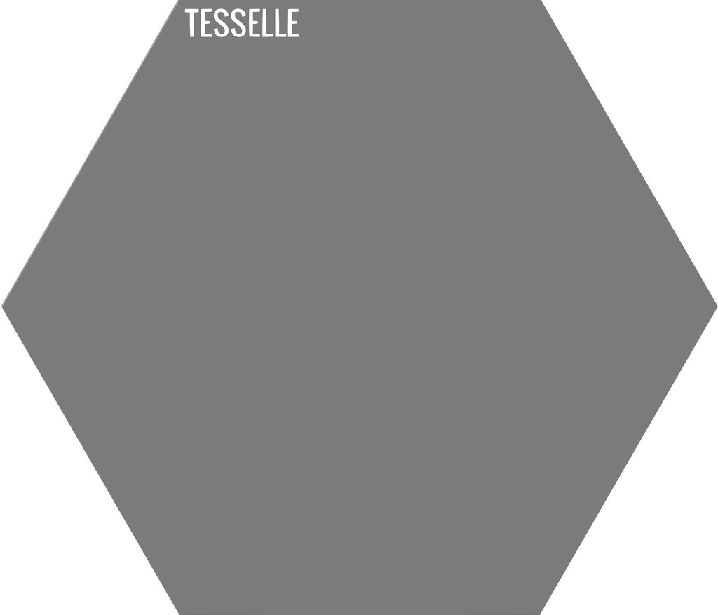 Stone 2007 - 9"x8" Hexagonal Cement Tile