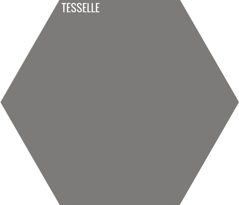 Stone 2007 - 9"x8" Hexagonal Cement Tile
