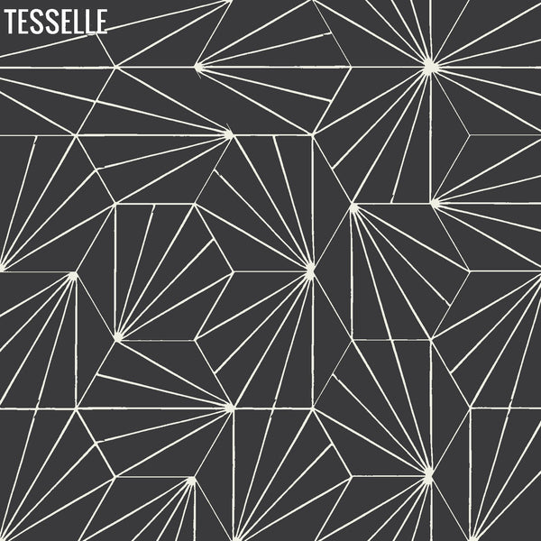 Sunray Basalt 9x8" Hexagonal Cement Tile 3