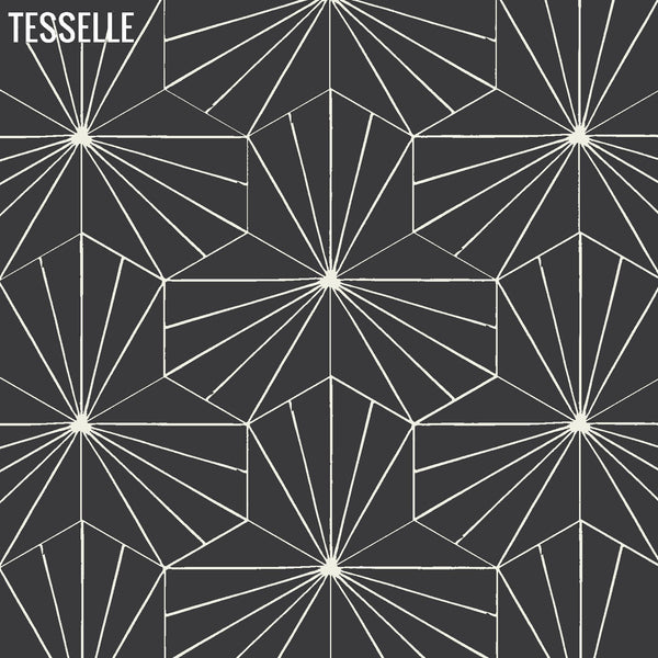 Sunray Basalt 9x8" Hexagonal Cement Tile 2