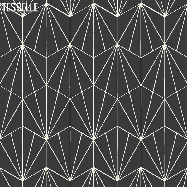 Sunray Basalt 9x8" Hexagonal Cement Tile 1