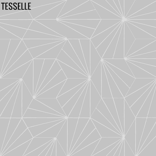 Sunray Quartzite 9x8" Hexagonal Cement Tile 3