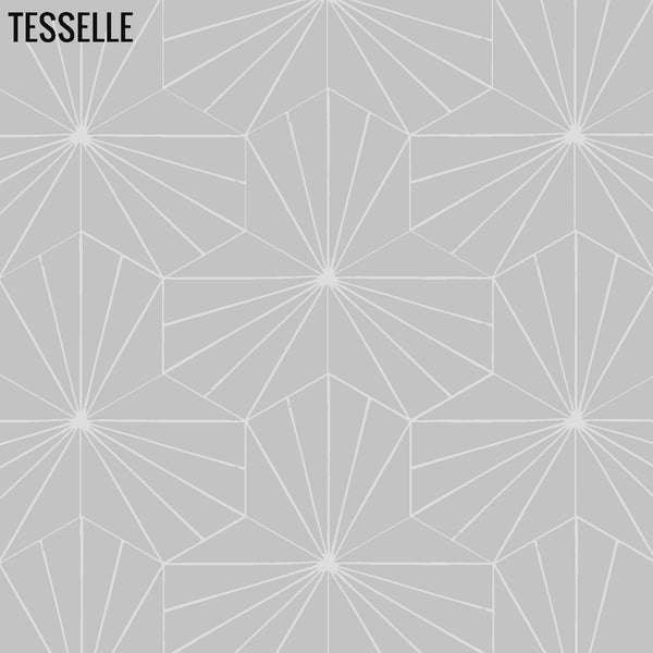 Sunray Quartzite 9x8" Hexagonal Cement Tile 2