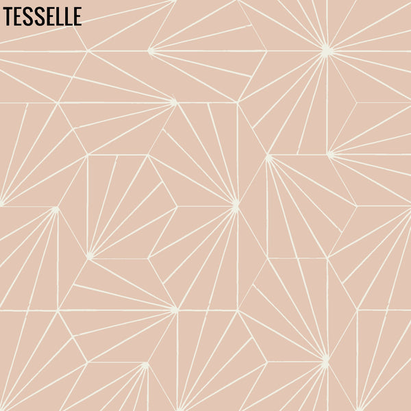 Sunray Shell 9x8" Hexagonal Cement Tile 3